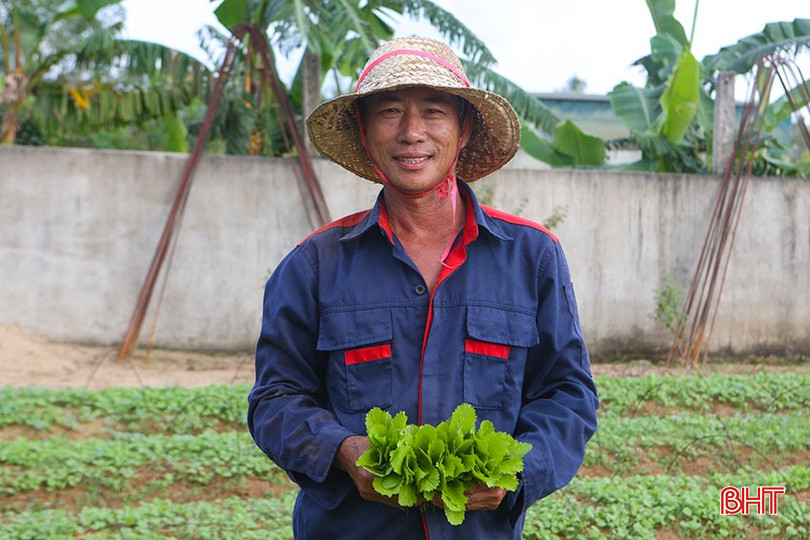 Ông Nguyễn Văn Anh (một chủ hộ có thâm niên sản xuất cây rau giống tại thôn Hồng Lĩnh). bqbht_br_a5.jpg