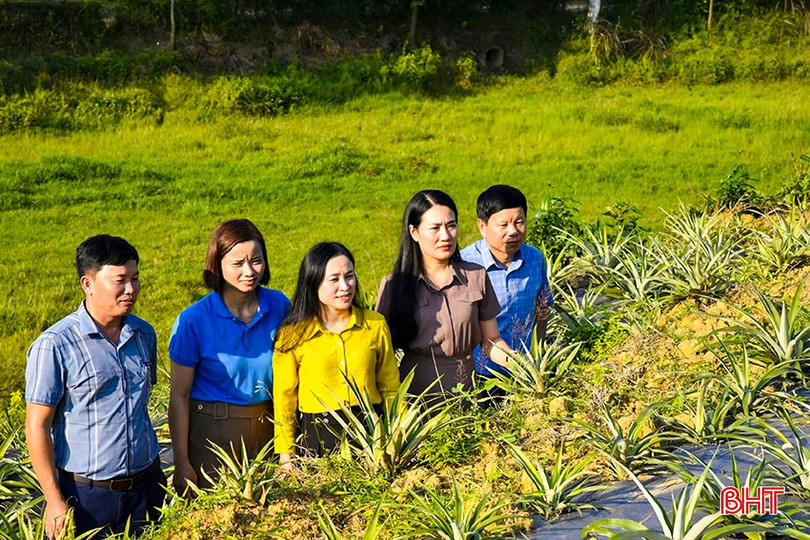 Lãnh đạo Hội LHPN tỉnh và huyện Vũ Quang tham quan mô hình HTX dịch vụ nông nghiệp dứa Đức Lĩnh. bqbht_br_a1-6026.jpg