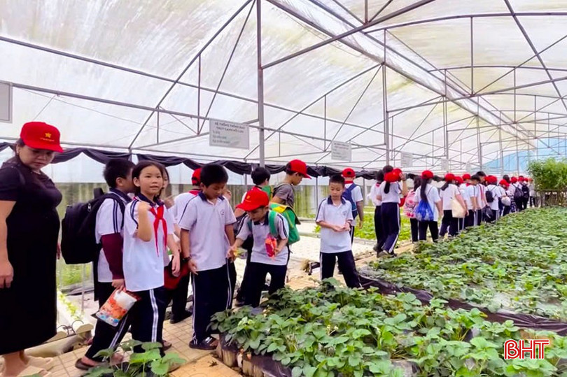 Các em tham quan học tập quy trình ươm cây giống, vườn dâu tây tại tại KDL sinh thái Đá Bạc. bqbht_br_a2.jpg