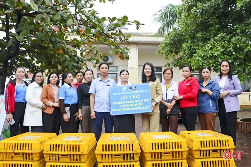 Hội LHPN tỉnh đã trao 20 mô hình sinh kế gà giống trị giá 98 triệu đồng từ dự án của Tổ chức Bánh mì cho thế giới, cho 20 hội viên phụ nữ nghèo tại xã Kỳ Xuân cũ, dịp cuối năm 2023. a3.jpg