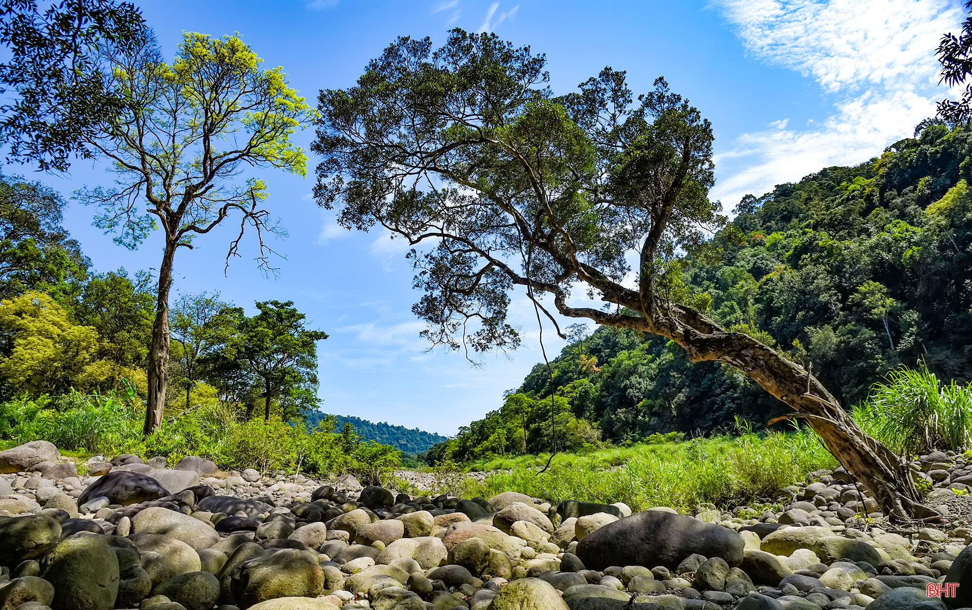Vườn quốc gia Vũ Quang - "mỏ loài mới" tại Việt Nam, trung tâm đa dạng sinh học của Châu Á ảnh 17 Vườn quốc gia Vũ Quang - “mỏ loài mới” tại Việt Nam, trung tâm đa dạng sinh học của Châu Á