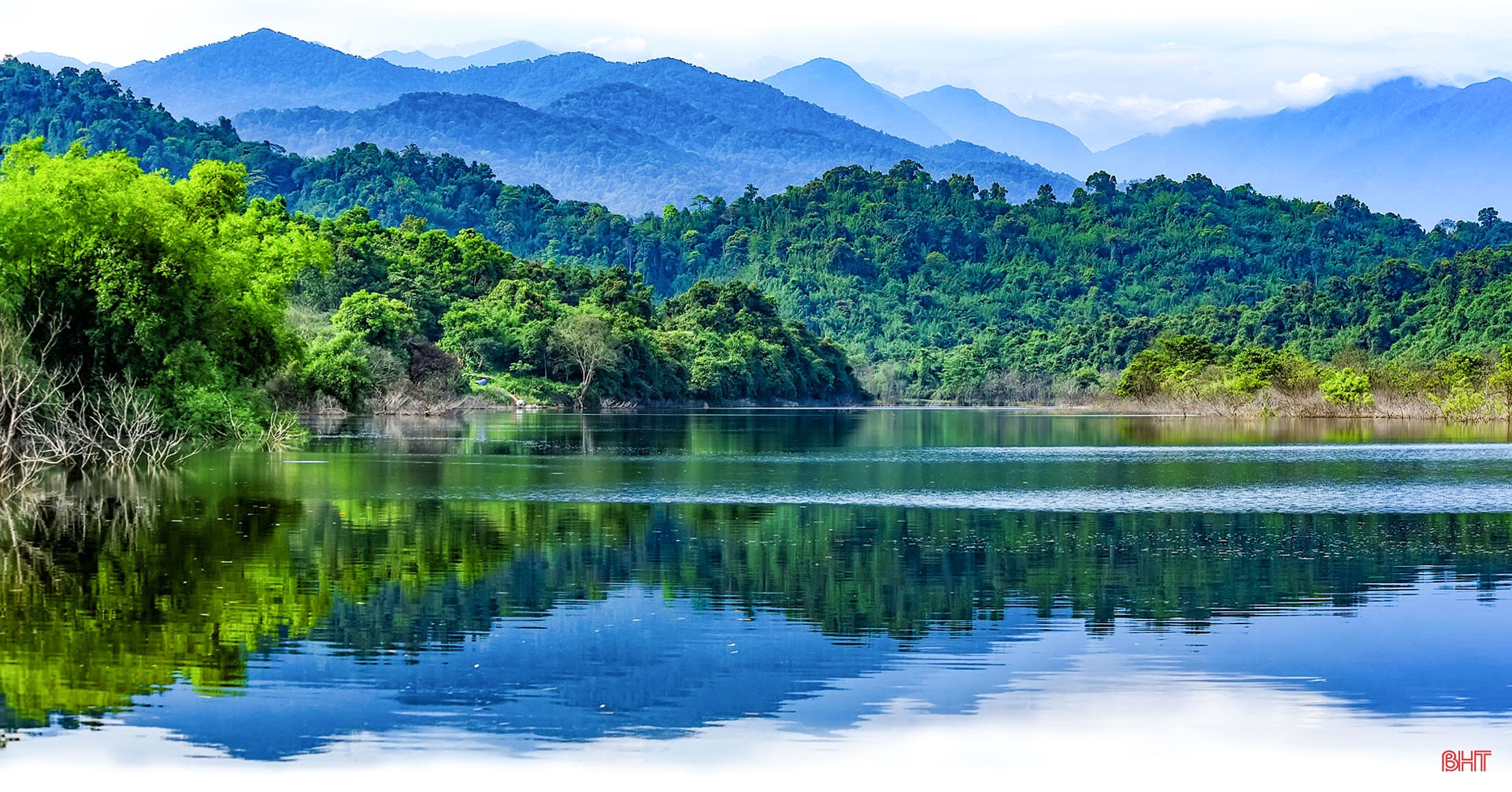 Vườn quốc gia Vũ Quang - "mỏ loài mới" tại Việt Nam, trung tâm đa dạng sinh học của Châu Á ảnh 6 Vườn quốc gia Vũ Quang - “mỏ loài mới” tại Việt Nam, trung tâm đa dạng sinh học của Châu Á