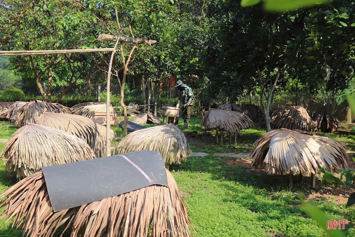 Vũ Quang vào mùa gom mật ngọt