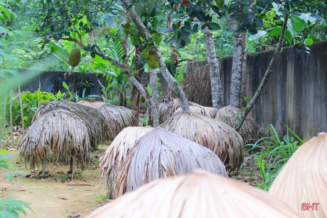 Vũ Quang vào mùa gom mật ngọt