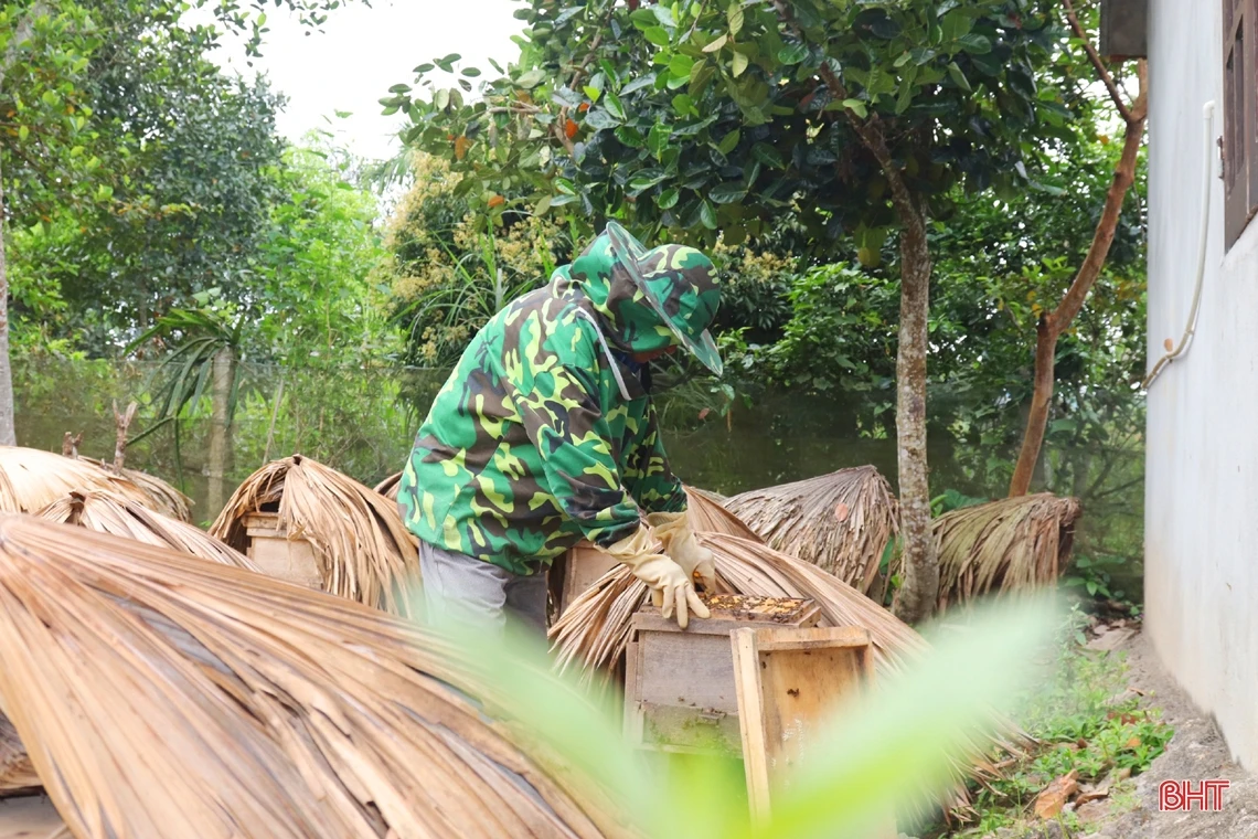 Vũ Quang vào mùa gom mật ngọt