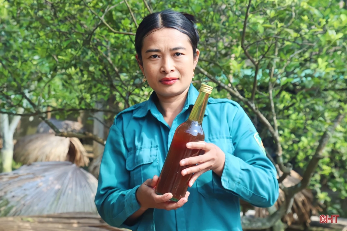 Vũ Quang vào mùa gom mật ngọt