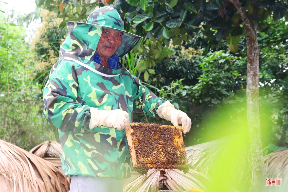 Vũ Quang vào mùa gom mật ngọt