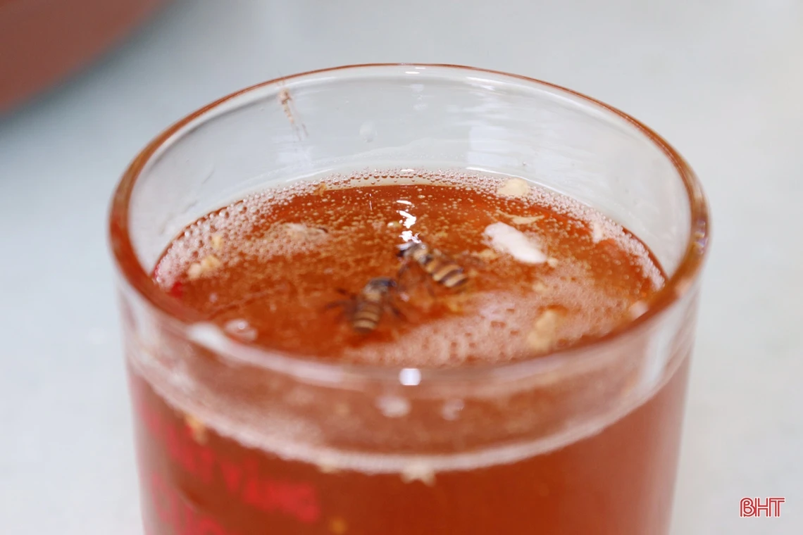 Vũ Quang vào mùa gom mật ngọt