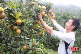 “Bà con chung sức, doanh nghiệp đồng hành, khó khăn mấy sản xuất nông nghiệp cũng vượt qua”