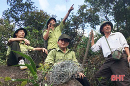 Phát hiện hơn 300 bẫy thú rừng trên núi Hồng Lĩnh