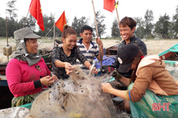 Ngư dân Hà Tĩnh ra biển sớm, kiếm tiền triệu mỗi ngày