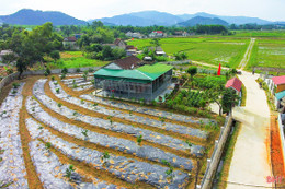 "Lạc bước" nơi miền quê đáng sống Cẩm Sơn!