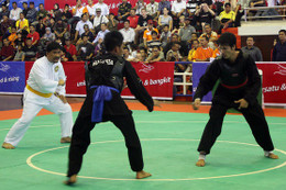 Chờ đợi mỏ vàng pencak silat của Đoàn thể thao Việt Nam