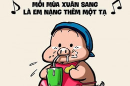 Dân mạng “tổng kết” tết Quý Mão bằng loạt ảnh chế đầy hài hước