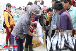 Thuyền về cá bạc đầy khoang...