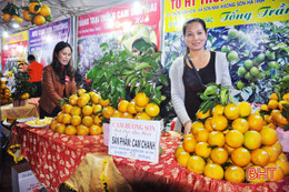 Cam chanh Hương Sơn sắp thoát cảnh "sống nhờ" thương hiệu