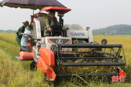 Động lực thúc đẩy ngành nông nghiệp Hà Tĩnh hiện đại và hội nhập