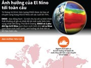 [Infographics] Ảnh hưởng của hiện tượng El Nino tới toàn cầu