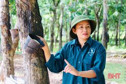 Giải pháp nâng cao thu nhập, ổn định đời sống người lao động của một doanh nghiệp ở Hà Tĩnh