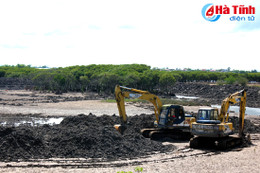 Xâm phạm rừng phòng hộ đê biển, chủ tịch huyện không hay biết