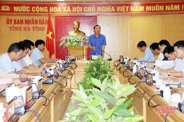 Triển khai kịp thời, hiệu quả dự án cải thiện rừng ven biển Hà Tĩnh 