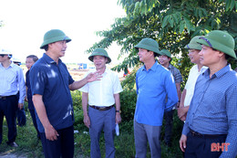 Thứ trưởng Bộ GTVT Lê Đình Thọ: Hà Tĩnh rất nỗ lực trong GPMB, đảm bảo nguồn vật liệu thi công cao tốc Bắc - Nam