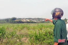 Người lính già hiến 20 nghìn mét vuông đất xây dựng nông thôn mới