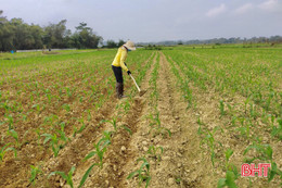 Nông dân huyện miền núi Hà Tĩnh ra đồng “lấy may” ngày đầu năm mới