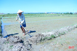 Thiếu nước cục bộ, nông dân Hà Tĩnh xoay đủ đường chống hạn cho lúa