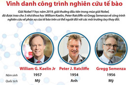 [Infographics] Nobel Y học 2019 vinh danh công trình nghiên cứu tế bào