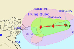 Quảng Ninh đến Hà Tĩnh chủ động ứng phó bão