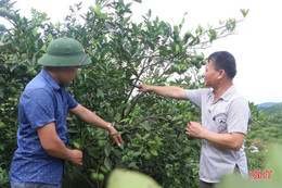 Cán bộ, đảng viên gương mẫu đi đầu, xã miền núi Hà Tĩnh khởi sắc