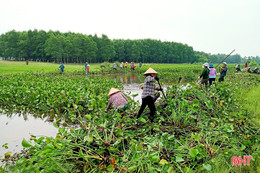 Trục vớt bèo, khơi thông dòng chảy đề phòng mưa lớn xẩy ra ở Nghi Xuân