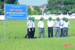 Sản xuất hữu cơ ở Hà Tĩnh: Lấy chất lượng để “chiều lòng” thị trường!