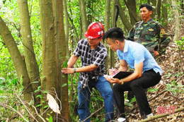 Khoanh nuôi, xúc tiến tái sinh rừng: Chi phí thấp, hiệu quả cao