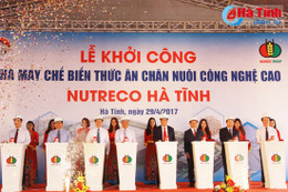 Xây dựng nhà máy chế biến thức ăn chăn nuôi công nghệ cao tại Hà Tĩnh