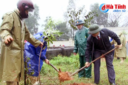 Hà Tĩnh trồng hơn 84 vạn cây xanh đầu Xuân Đinh Dậu