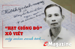 “Hạt giống đỏ” Xô viết nảy mầm xanh tươi…