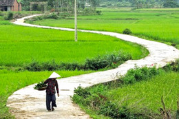 Bâng khuâng ngày cuối năm