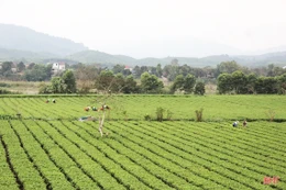 Hành trình cán đích huyện nông thôn mới Hương Sơn