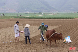 Ngày đầu năm, người dân Vũ Quang xuống đồng sản xuất vụ xuân