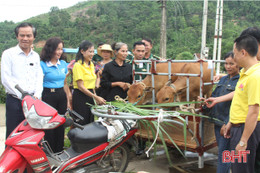 Hội Phụ nữ Hà Tĩnh trao mô hình sinh kế cho hội viên khó khăn