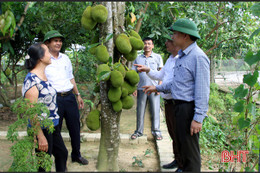 Hà Tĩnh đánh giá, thẩm định mức độ xã đạt chuẩn nông thôn mới đợt 2