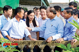 Hà Tĩnh quyết tâm cao trên chặng "nước rút"