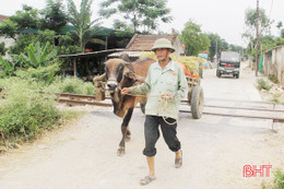 Rình rập tai nạn đường sắt qua địa bàn Hà Tĩnh