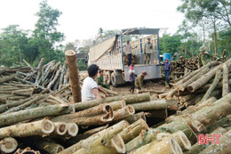 Nghề “phu keo” ở Hà Tĩnh: Vất vả nhưng thu nhập khá