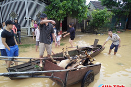 Bệnh sau mưa lũ và biện pháp phòng tránh