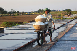 Giá muối tăng, diêm dân Hà Tĩnh phấn khởi bám nắng sản xuất