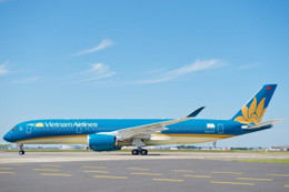 Vietnam Airlines nhận vận chuyển đào, mai trong dịp Tết Canh Tý 2020