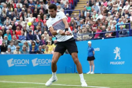 Aegon International 2017: Djokovic thẳng tiến vào bán kết